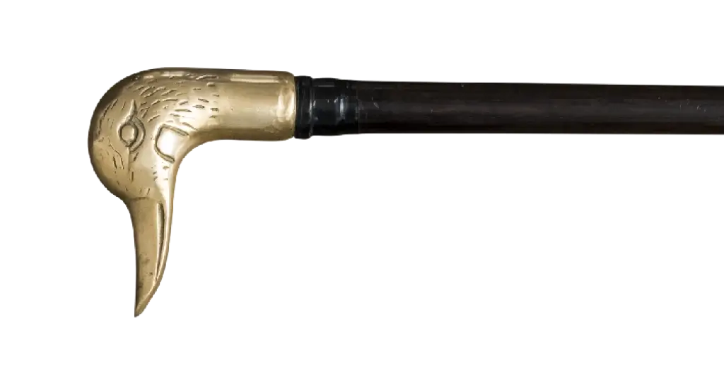 Walking stick